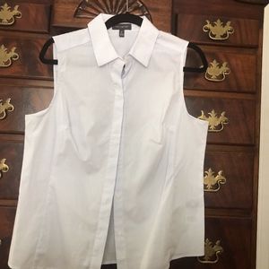 The Limited Sleeveless Blue White Strip Blouse